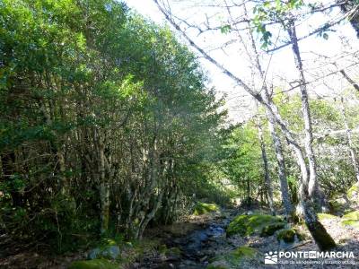 Parque Natural del Lago de Sanabria - viaje cultural;rutas fin de semana por españa